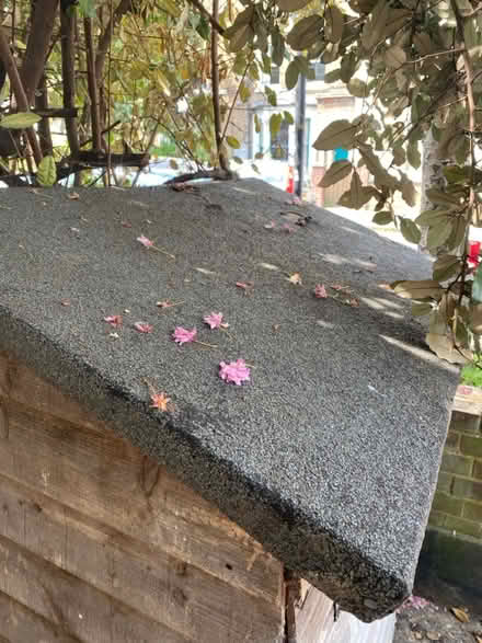 Photo of free Slimline garden shed / tool store (SW2 - Brixton) #3