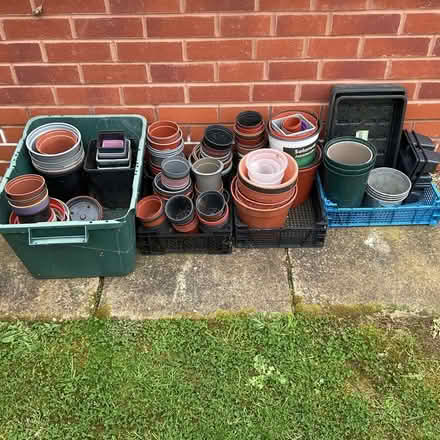 Photo of free Used plant pots. (Dursley GL11) #1