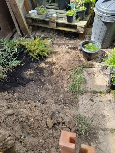 Photo of free Dense sand (for patios, paving etc) (Caister-on-Sea NR30) #3