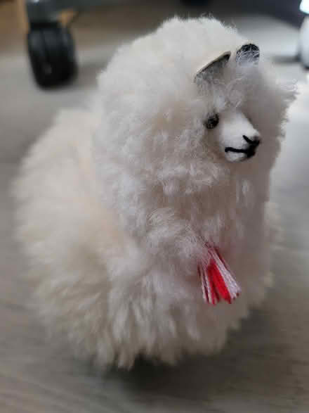 Photo of free Alpaca wool figure (Broadview/Gerrard) #1