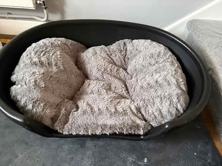 Photo of free Pet bed (CM1 Broomfield) #1