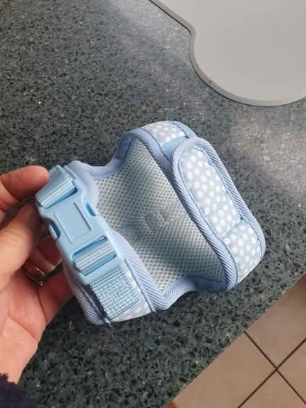 Photo of free Puppy /cat harness (WD25 Woodside) #1