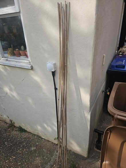 Photo of free Gardening bits (Trevor Road) #2