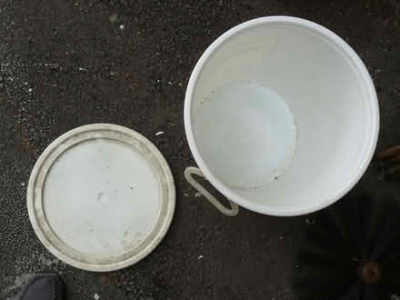 Photo of free 5.5 Gallon fermentation bin + lid for brewing/wine making (Kempsey WR5) #2
