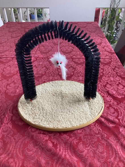 Photo of free Cat Scratcher/Toy (Near Eubank Costco) #1