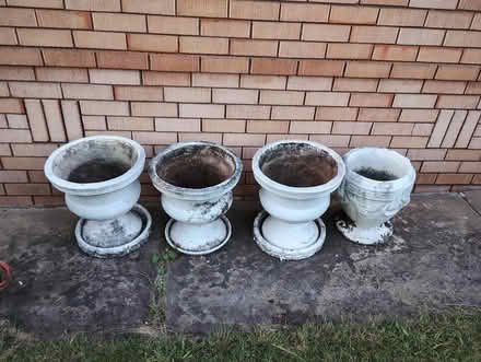 Photo of free Heavy concrete garden pots (Carlingford) #1
