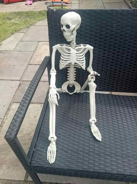 Photo of free Fully posable skelleton (MK42) #2