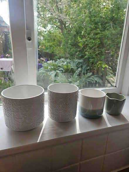 Photo of free Plant pots (Trevor Road) #1