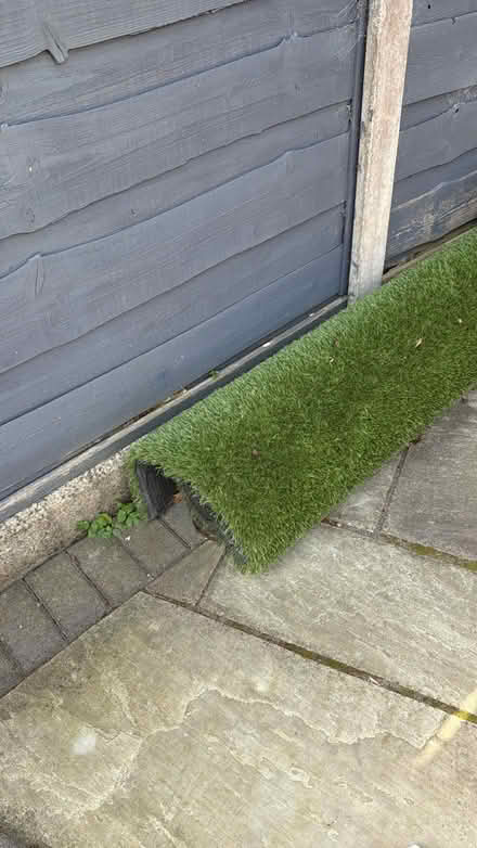 Photo of free Fake grass (WA15 Timperley) #1