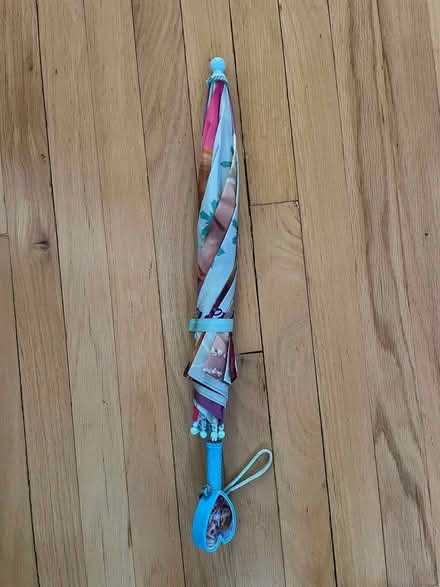Photo of free Disney Frozen umbrella, rainwear (Livingston) #4