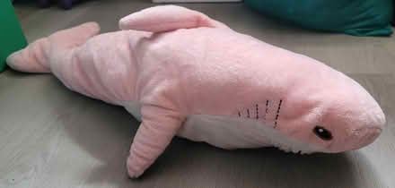 Photo of free Medium size shark plush (Broadview/Gerrard) #1