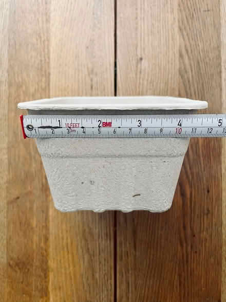 Photo of free Recycled Paper Punnets - 33 (City of Bristol BS5) #4