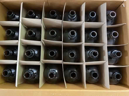 Photo of free Glass bottles 16 oz (Catonsville) #2