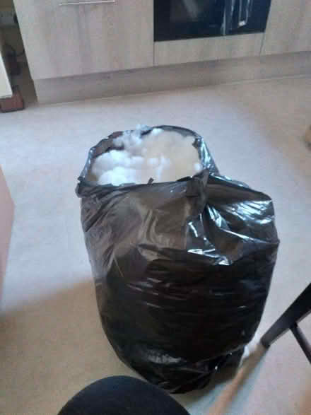 Photo of free bag of new toy stuffing (North City NR3) #1