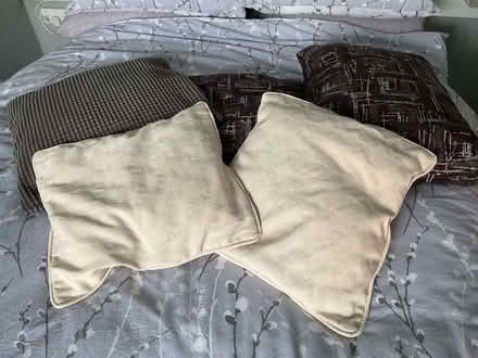 Photo of free Cushions (Woodley SK6) #1