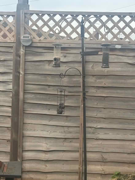Photo of free Bird Feeder (Stroud) #1