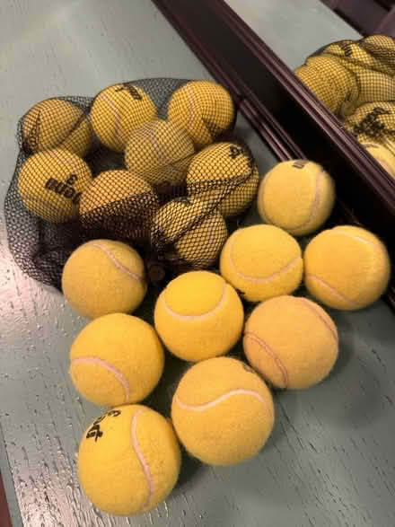 Photo of free Tennis Balls (Arlington) #1