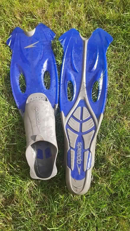 Photo of free Swimming Flippers (Ipswich IP3) #2