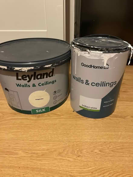 Photo of free Magnolia and white silk paint (Newfield Green S14) #1