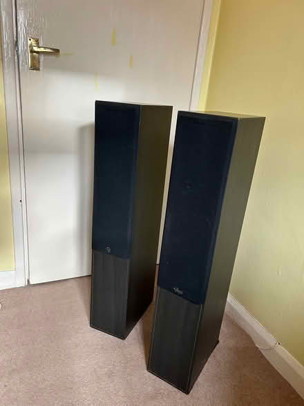 Photo of free Pair of quality speakers (Teignmouth TQ14) #1