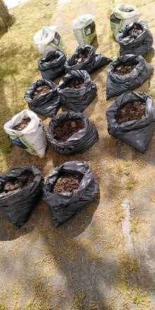 Photo of free Top soil (Ealing W5) #1