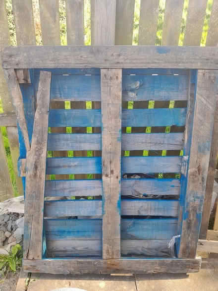 Photo of free Blue wooden pallet (Widdrington, Morpeth NE61) #1