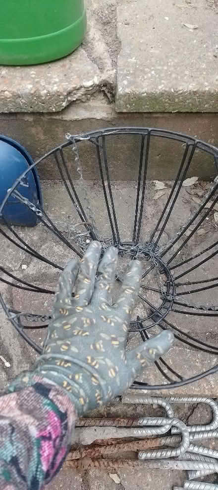 Photo of free Hanging baskets (St Leonards TN38) #1