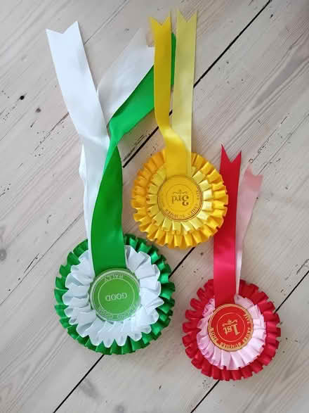 Photo of free Rosettes (Eastbourne BN20) #1