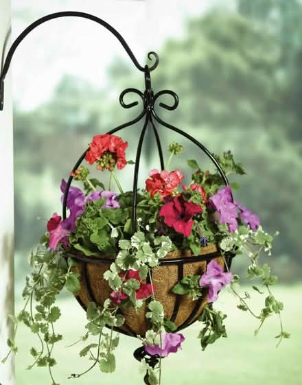 Photo of Outdoor plants (Rg14) #1