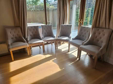 Photo of free 6 x dining chairs (Polstead Heath CO6 5AY) #1