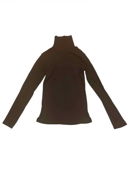 Photo of free Ambiance Woman’s Brown Turtleneck (Brooklyn Storage) #1