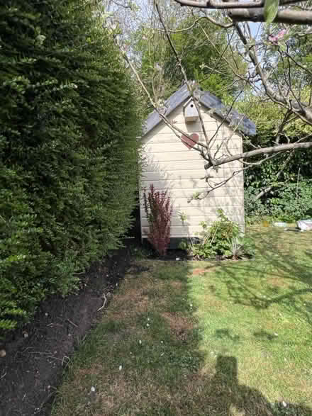 Photo of free Small cottage (Welwyn Garden City) #1