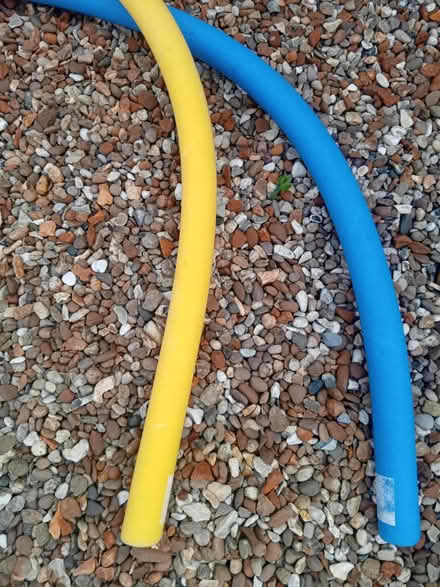 Photo of free Swimming pool noodles (MK42) #2