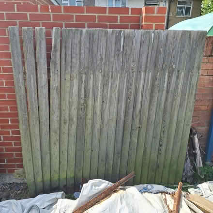 Photo of free Used fence panels (Hounslow Central) #3