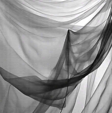 Photo of black netting/mesh (Richmond TW9) #1