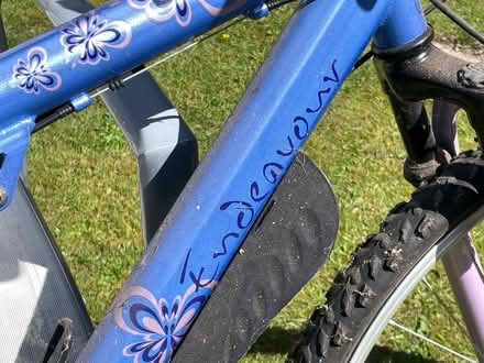 Photo of free Teenagers Bike (in need of tlc) (Horton Heath, SO50 7) #3