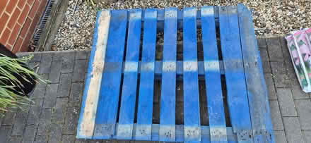 Photo of free Pelet (Sydenham SE26) #1