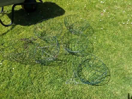 Photo of free Hanging Baskets for Garden (Lindfield RH16) #1