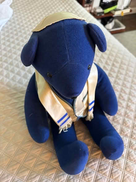 Photo of free Bear Mitzvah (Chappaqua) #1