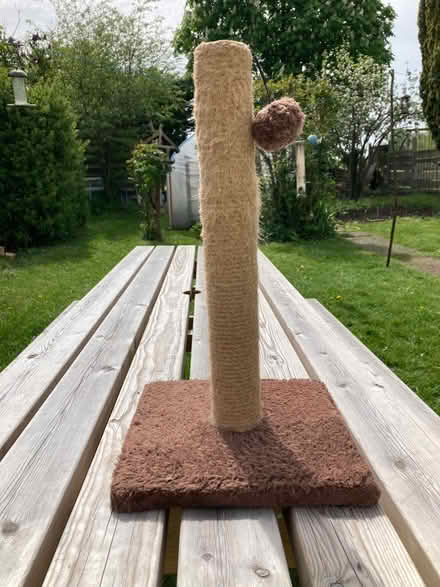 Photo of free Scratching post (Upper Radley OX14) #2
