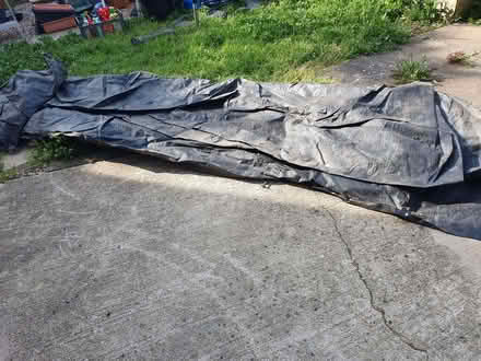 Photo of free Weed suppressor for allotment/garden (Abbeydale GL4) #1