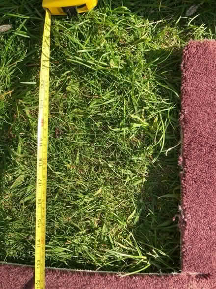 Photo of free Carpet offcut (Greenhill S8) #2