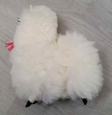 Photo of free Alpaca wool figure (Broadview/Gerrard) #3