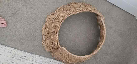 Photo of free xmas tree and lights (Orewa) #3