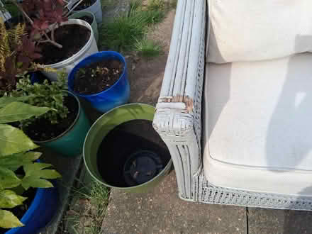 Photo of free Rattan sofa (Wickford SS11) #2