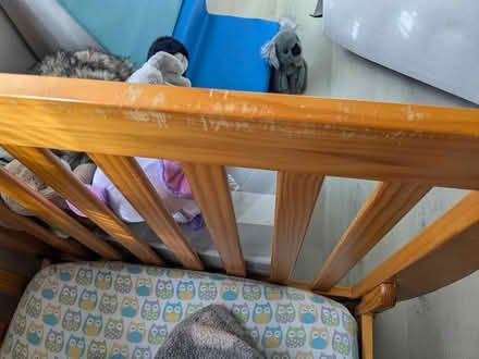 Photo of free DaVinci Kalani crib + toddler rail (Cherry Chase) #3