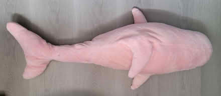 Photo of free Medium size shark plush (Broadview/Gerrard) #2