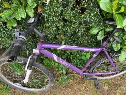 Photo of free Three bicycles (Colinton EH13) #3