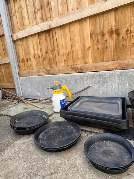 Photo of free Plant pots, saucers (E15 3QS) #3
