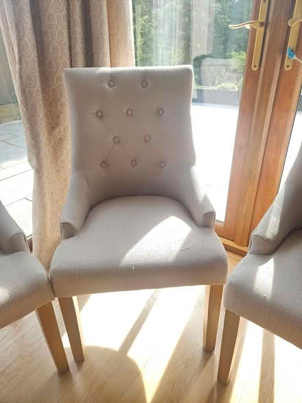 Photo of free 6 x dining chairs (Polstead Heath CO6 5AY) #3